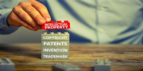 Intellectual Property Law Basics: Key Concepts, Rights, and Protections You Need to Know