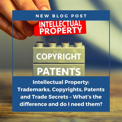 Intellectual Property Law Basics: Key Concepts, Rights, and Protections You Need to Know